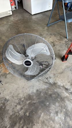 Fan