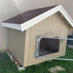 XL Dog House