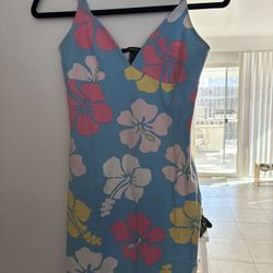 Forever 21 Spring Summer Dress