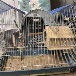 Bird Cage For Sale 