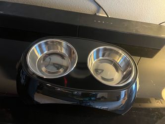 Dog Bowls