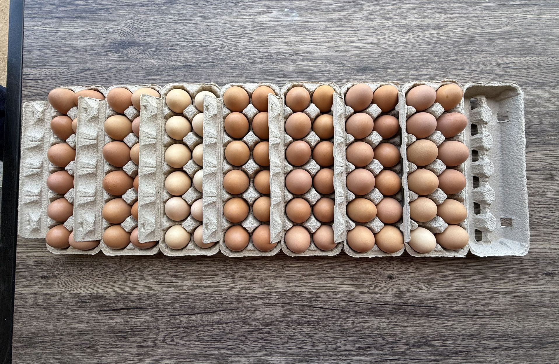 Huevos de granja π₯π³