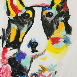Rainbow Husky 