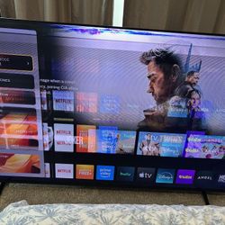 Vizio TV