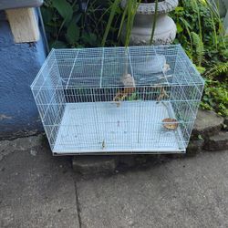 🐦 Bird Cage 