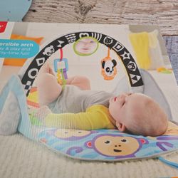 Fisher Price Activity GYM