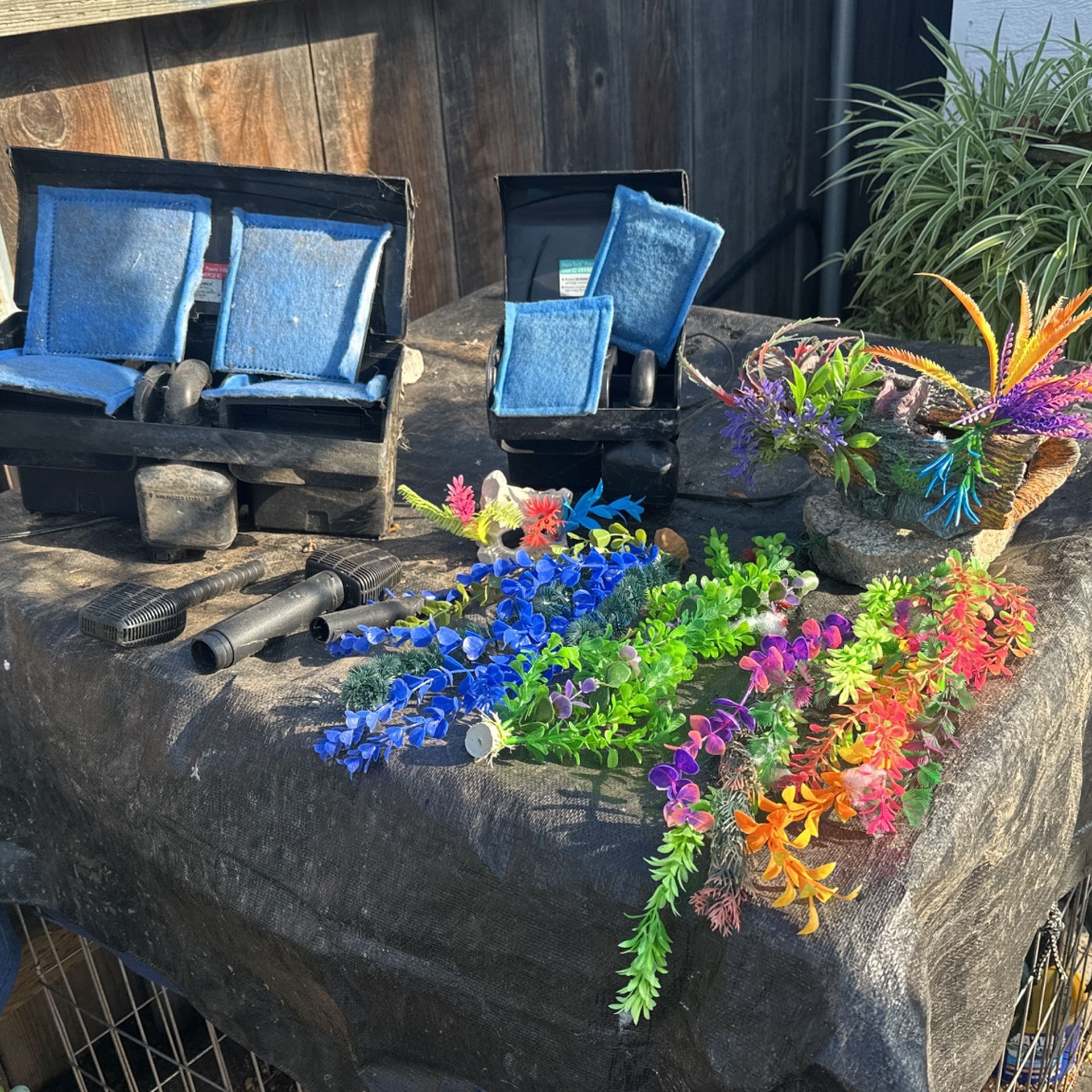 Aquarium Filter Rocks And Plants