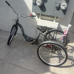 Schwinn Meridian Adult Tricycle.