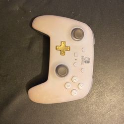 Nintendo Switch Controller