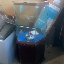 Octagon Tank 4ft x2ft