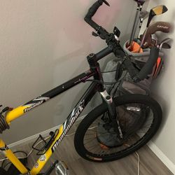 Bike 🚴🏿  