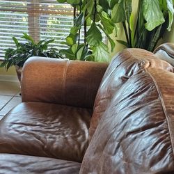 Brown Authentic Leather Sofa