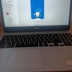 Acer Chromebook 315