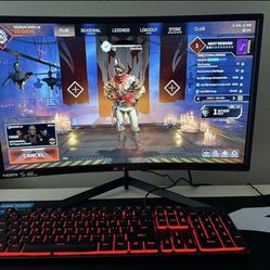 Sceptre 24inch monitor