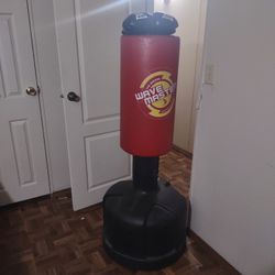 Punching Bag And New Gloves