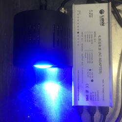 Aquarium light