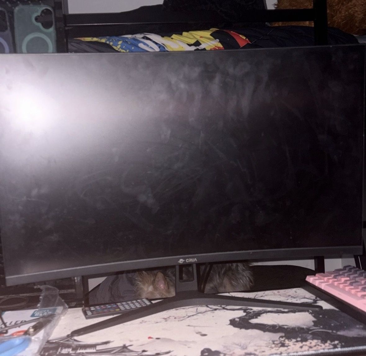 Monitor
