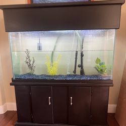 Working - Large Indoor Fish Tank