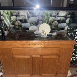 fish tank whit stand