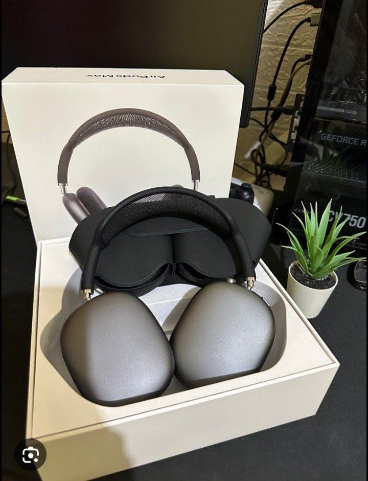 Ear Max Pros
