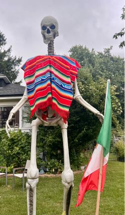 Home Depot 12 ft skeleton