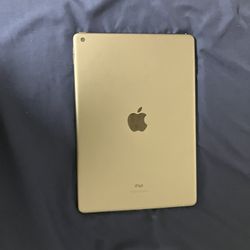 Space Gray iPad Air 9th Gen