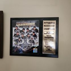 2009 Stanley Cup Victory Memorabilia 