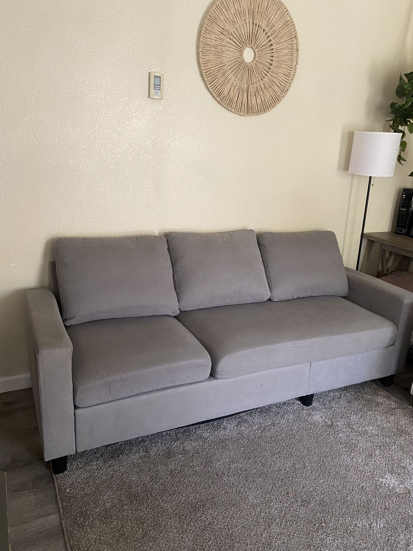 Small Grey Couch 