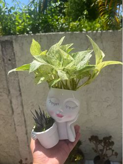 Snow Queen Pothos Girl Planter