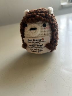 Crochette BSF Hedgehog Message Tiktok