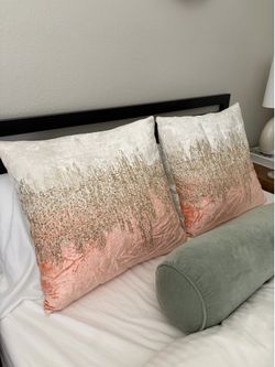 Set of two Z gallerie pillows
