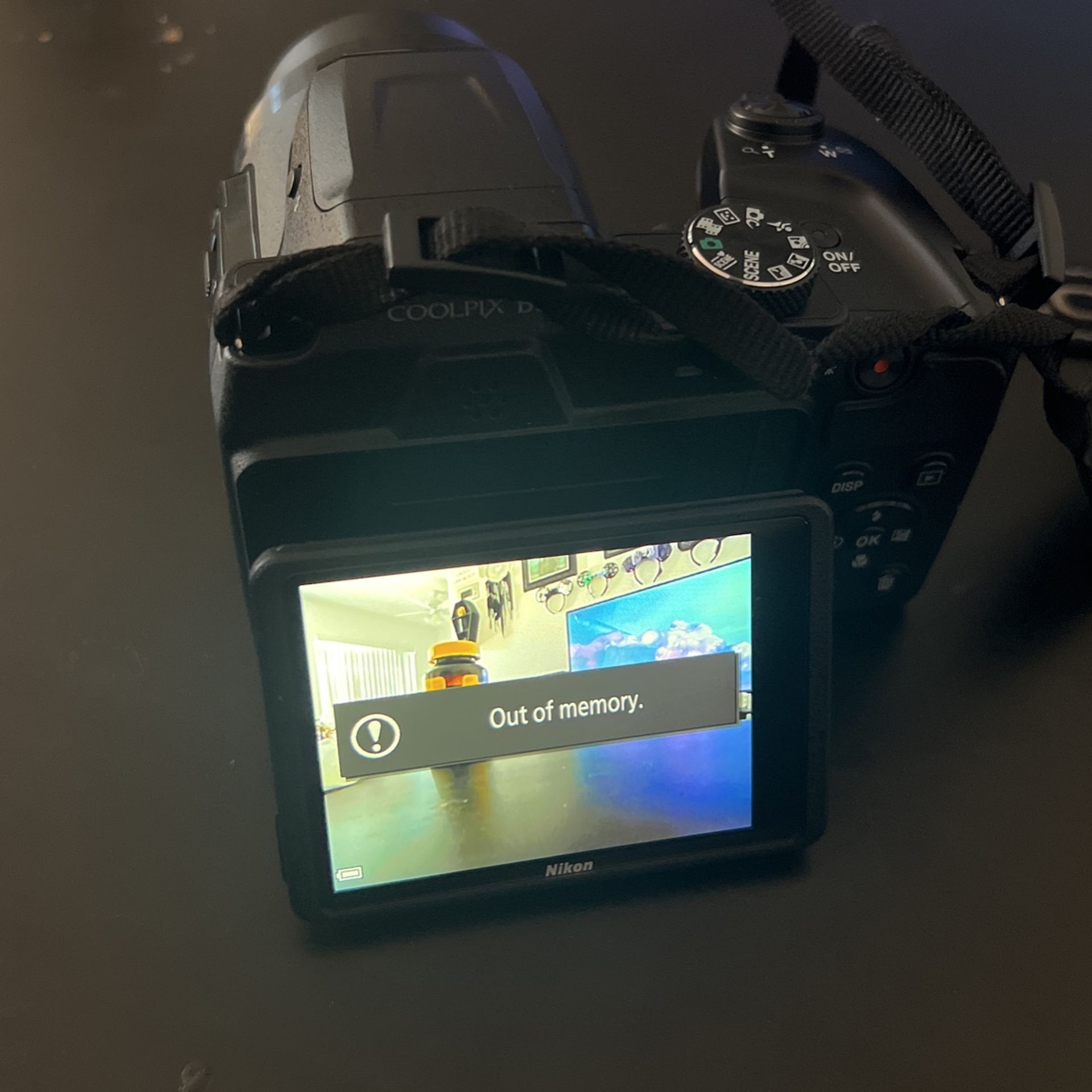 Nikon Coolpix Camera