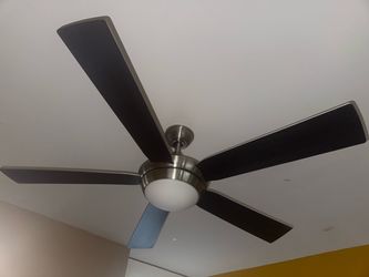 Two 50 inch ceiling fans with lights