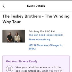 The Teskey Brothers Chicago 5/10