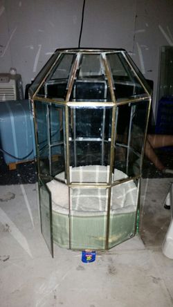 Royalty kitten enclosure