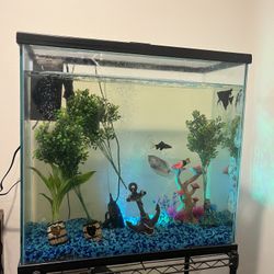 Fish Tank