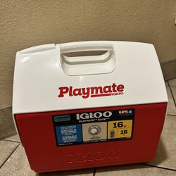Playmate Iglooo Cooler 