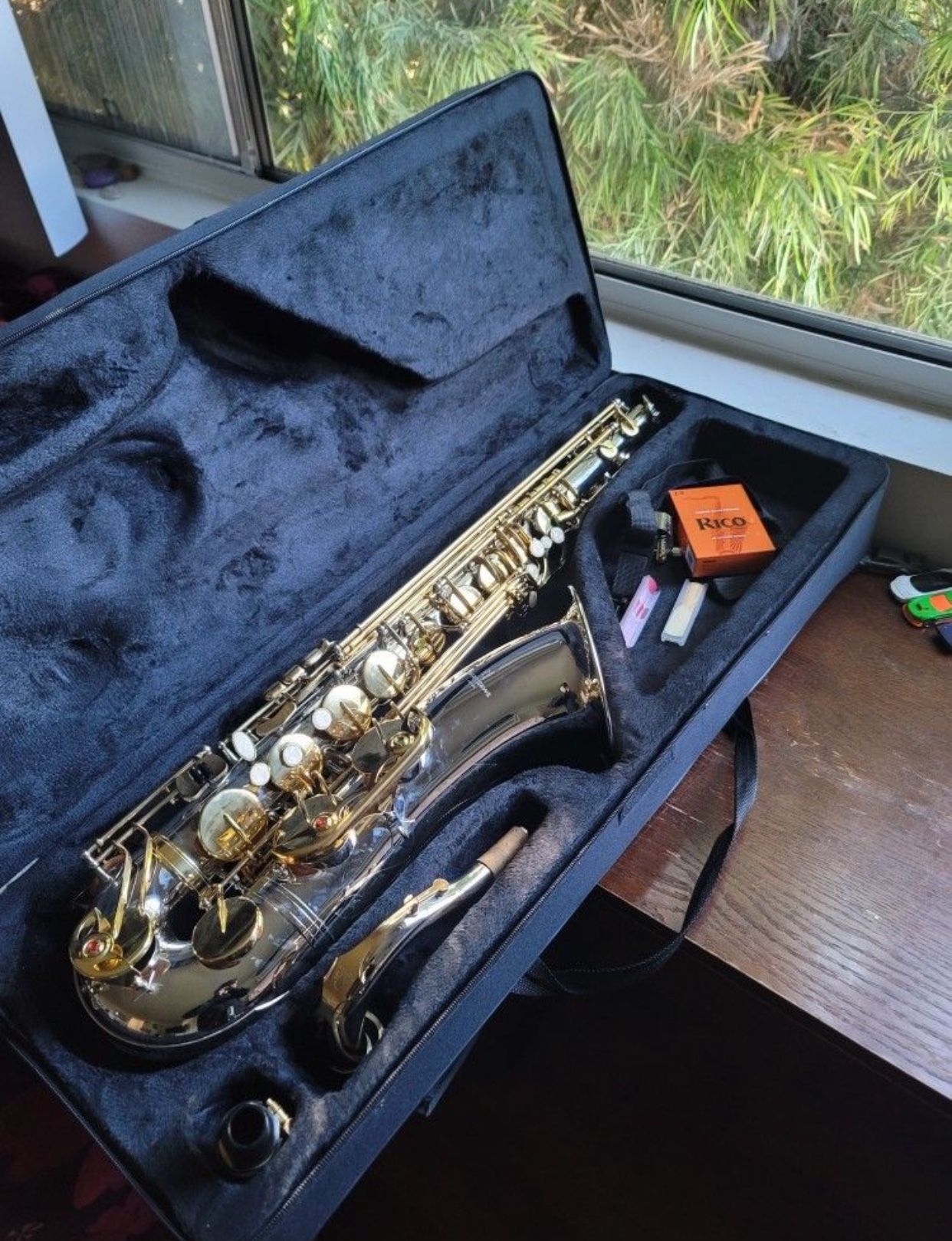 Tenor Saxophone (YANAGISAWA)