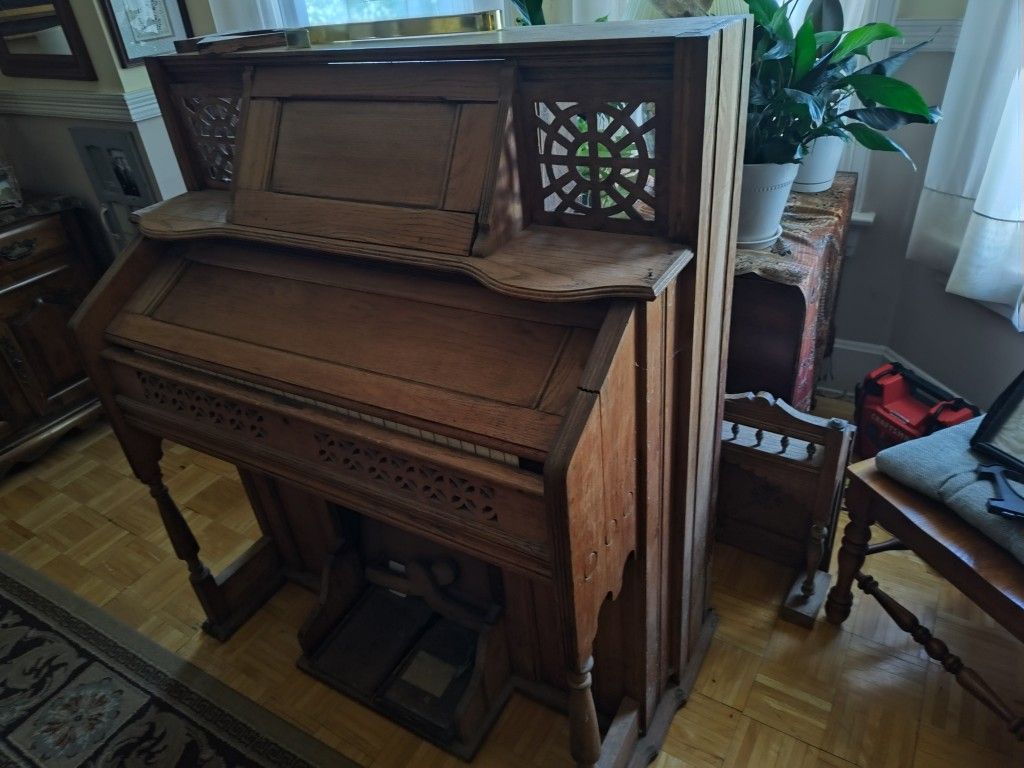 Organ