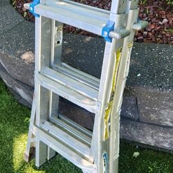 Werner 14' Ladder