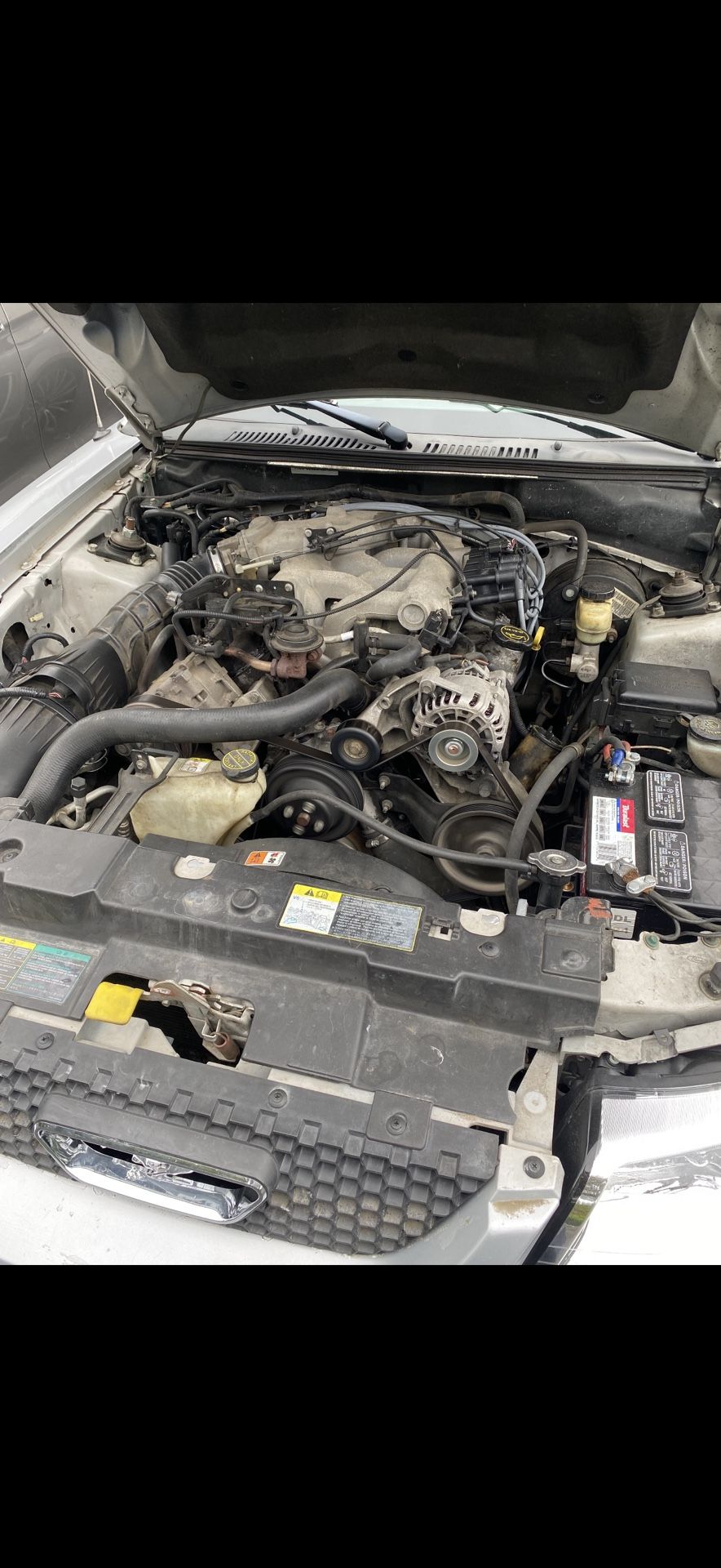 2004 Ford Mustang