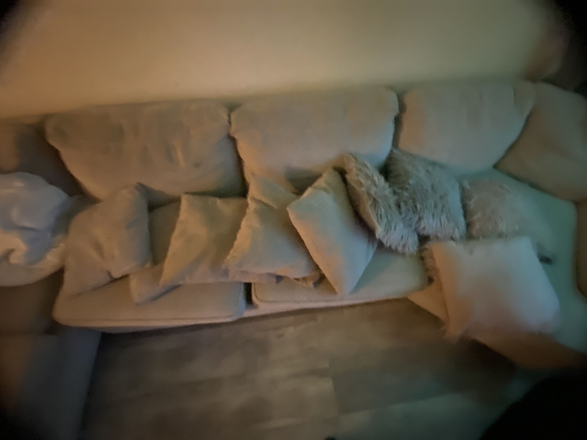 Family L-Shaped Couch