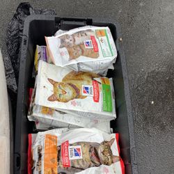 Hills Science Diet Cat Food 