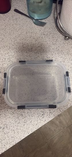 Food container