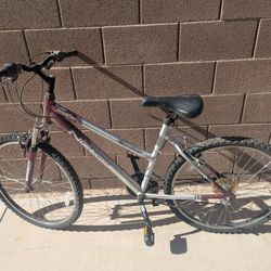Bike – Needs Work
