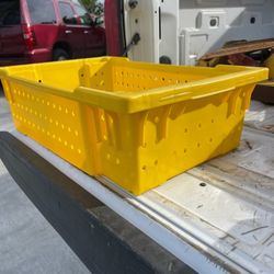 Harvest Baskets 