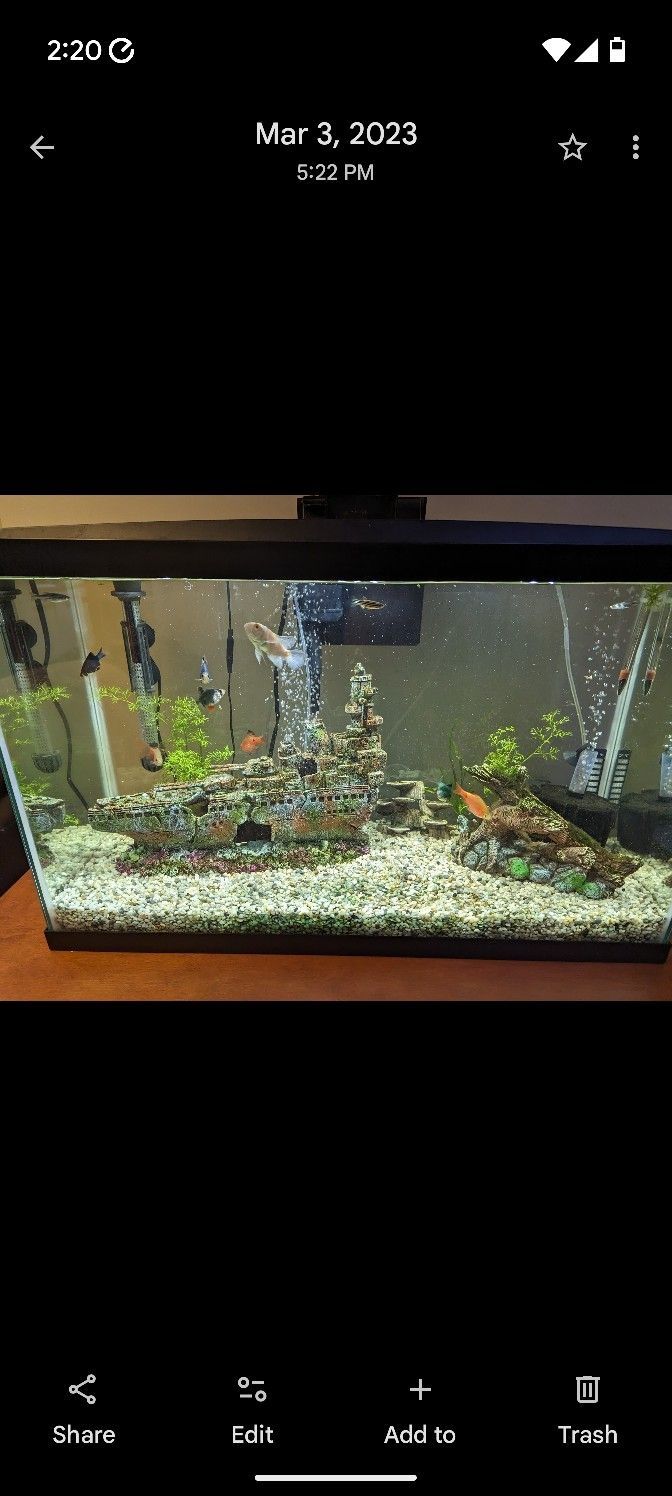 30 Gal Tank With Stand