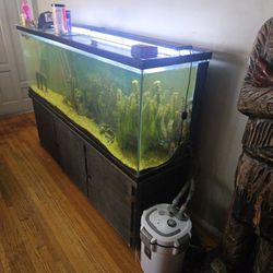 150 Gallon Aquarium