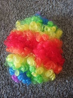 Kid's Rainbow Curly Clown Costume Wig