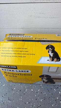 Absorbent pads